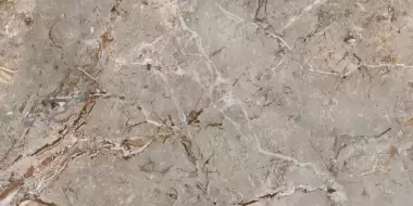 163101 BRECCIA ARGENTUM LAPP.RETT. 60X120
