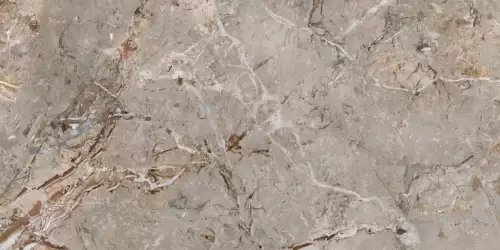 163101 BRECCIA ARGENTUM LAPP.RETT. 60X120