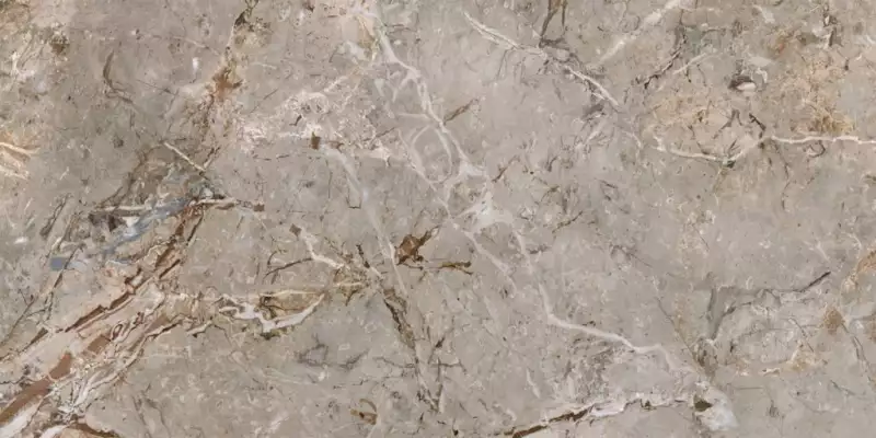 163101 BRECCIA ARGENTUM LAPP.RETT. 60X120