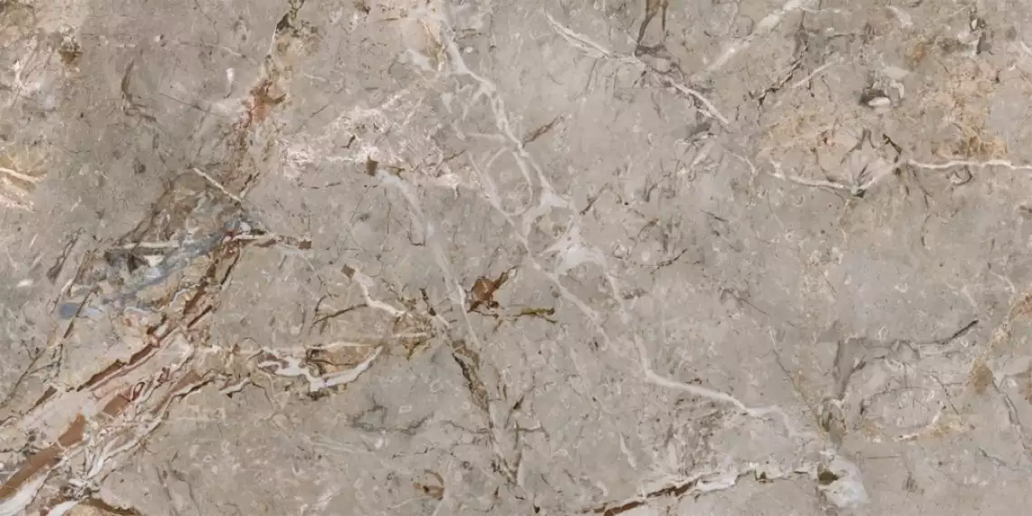163101 BRECCIA ARGENTUM LAPP.RETT. 60X120