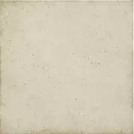 24390 ART NOUVEAU BISCUIT 20*20