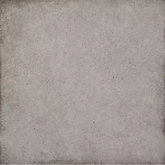 24395 ART NOUVEAU WOAD GREY 20*20