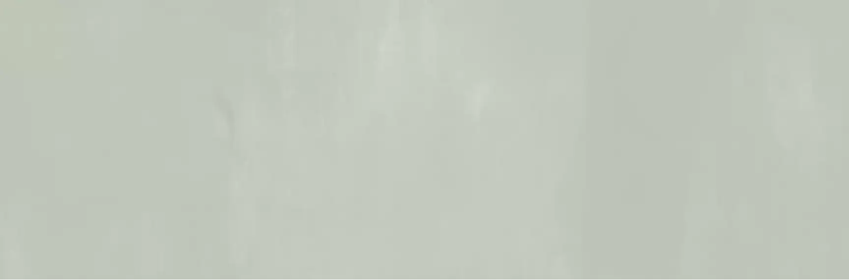 24407 PALETTE GREEN/32X90/R