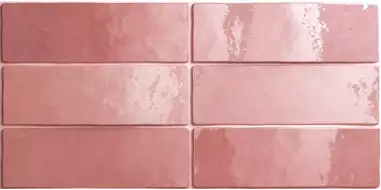 24466 ARTISAN ROSE MALLOW 6,5X20