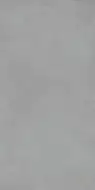 303945 Paint Grey Rett R10 60x120
