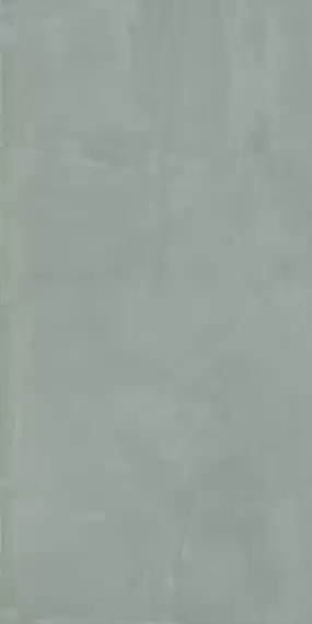 303948 Paint Salvia Rett R10 60x120