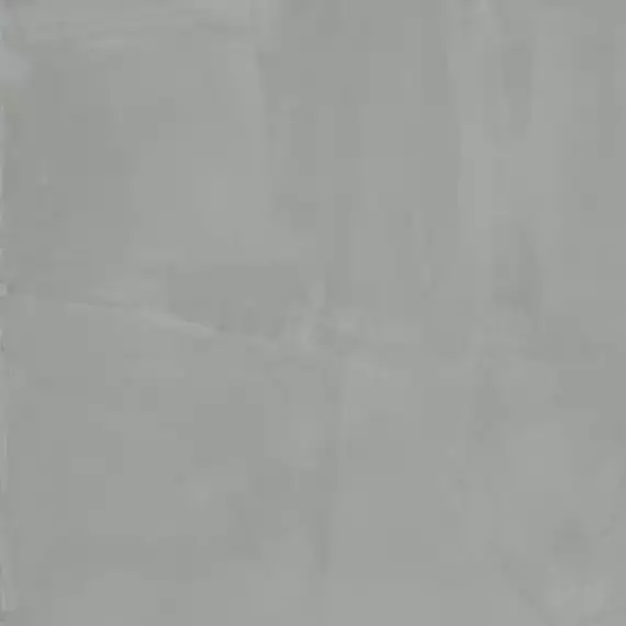 303969 Paint Grey Rett R10 60x60