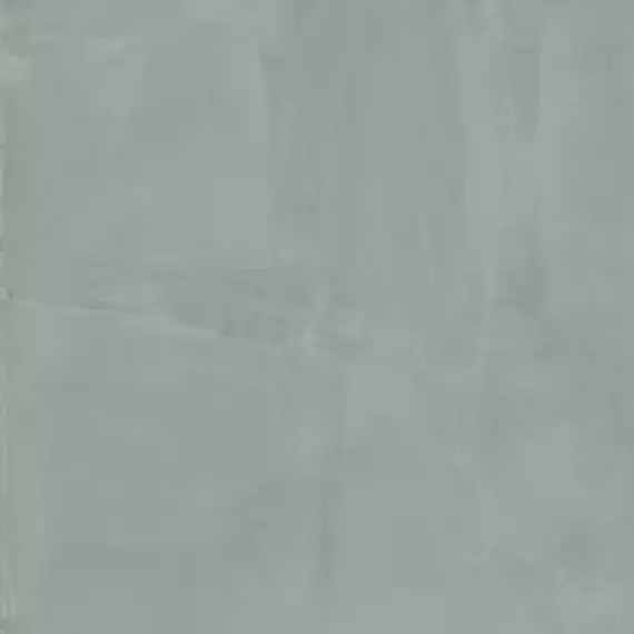 303971 Paint Salvia Rett R10 60x60