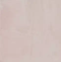304001 Paint Rose Rett R10 60x60