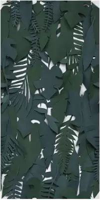 4100595 Midori 50x100