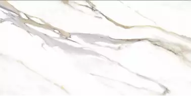 44CL29P Calacata Gold 59x119