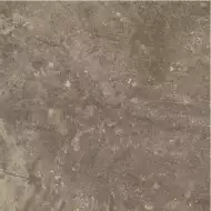 610010001441 Червиния Земля 45x45