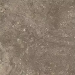 610010001441 Червиния Земля 45x45