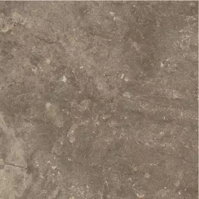 610010001441 Червиния Земля 45x45