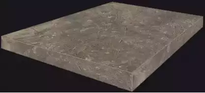 620070001183 Червиния Земля Ступ.45 Угл.лев 33x45