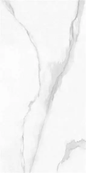 9141 Ramila White Sugar 60x120