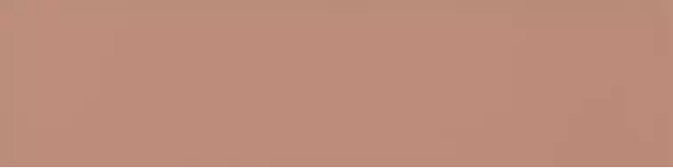 A037656 Flat Terracota 5х20