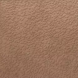 A037708 Nisus Terra Rect 60х60