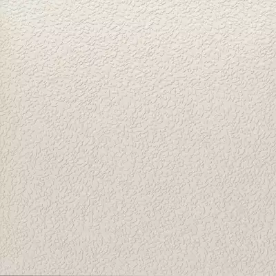A037713 Nisus Neve Rect 60х60