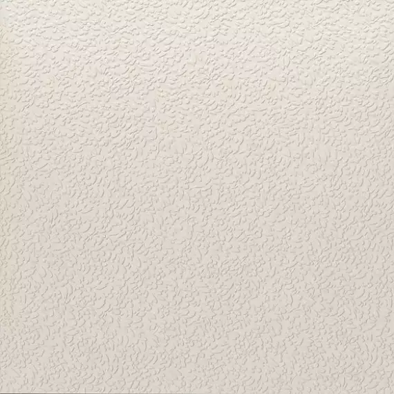A037713 Nisus Neve Rect 60х60