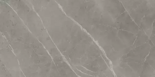 A21F Marvel Grey Fleury 60x120
