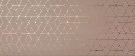 A4T9 Mek Rose Hexagon 50x120