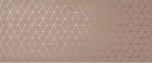 A4T9 Mek Rose Hexagon 50x120