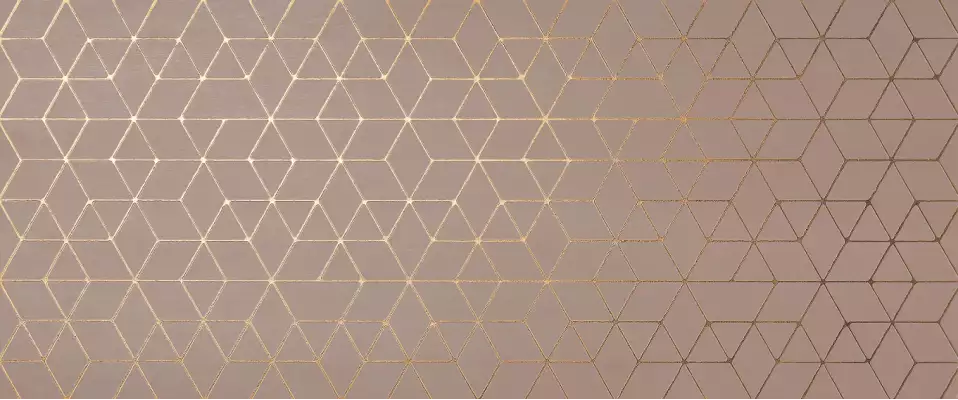 A4T9 Mek Rose Hexagon 50x120