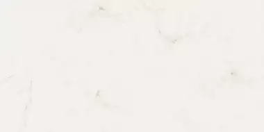 AB 1012G Onix Ice gloss 1200x600