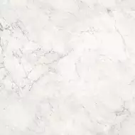 AE CAL6 120 LP 120x120