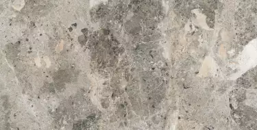Alaska Grey Pol. 60x120
