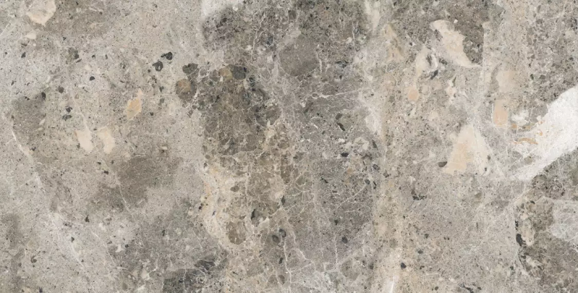 Alaska Grey Pol. 60x120
