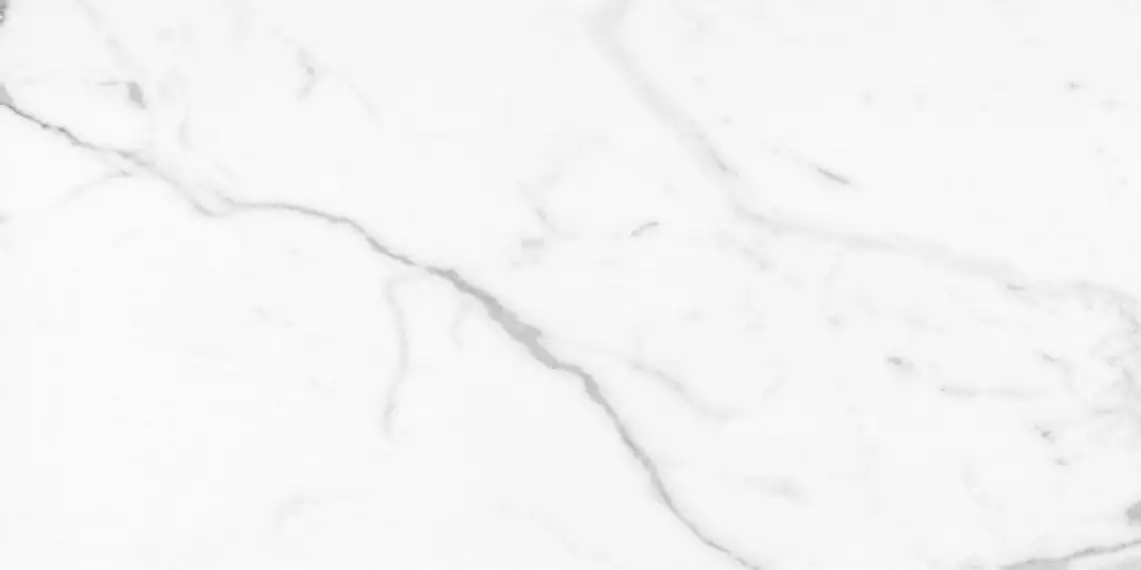 Arabascato Bianco 80х160