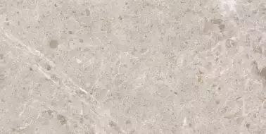 Artic Beige Pulido 59x119