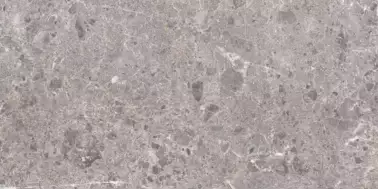 Artic Gris Natural 60x120