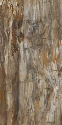 Arty Brown High gloss 60*120