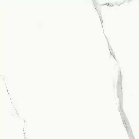 BIEN0056 Statuario Goya Matte Rec 600x600x8,5