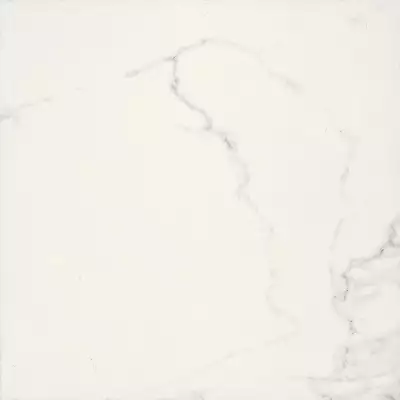 BIEN0059 Adonis Matte White Rec 600x600x8,5