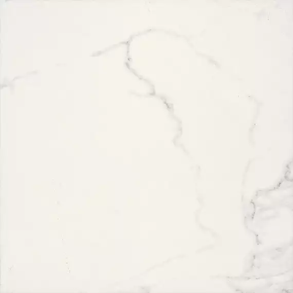 BIEN0059 Adonis Matte White Rec 600x600x8,5
