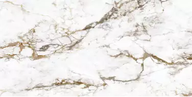 BRECCIA TORTONA LAP RT 60x120