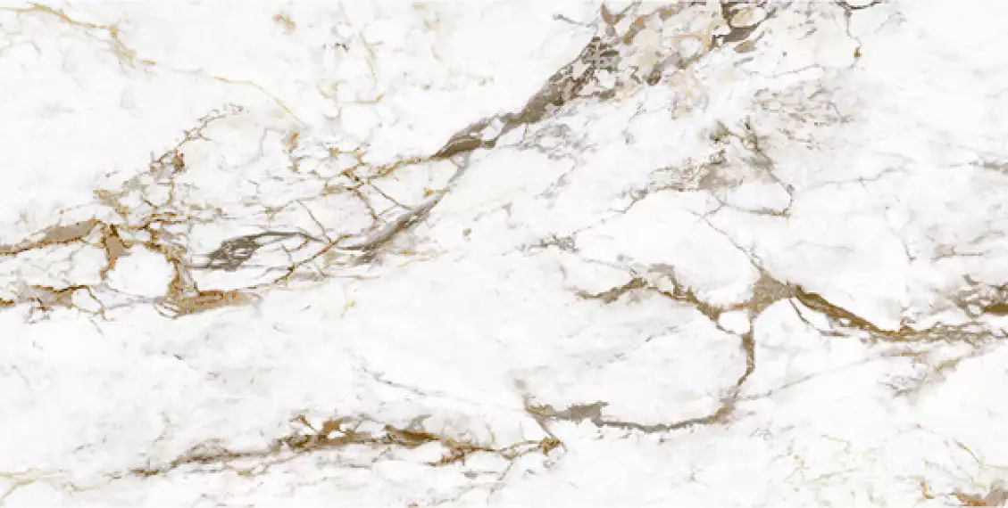 BRECCIA TORTONA LAP RT 60x120