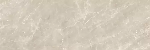 Balmoral Taupe Rectificado 40х120