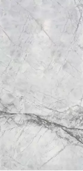 Bluetta Parlak Nano Rectified 120x240