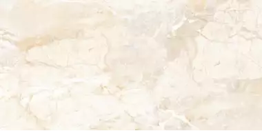 Brazilian Brown Carving 60x120