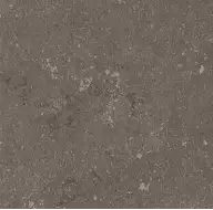 Buxy Cendre 100x100