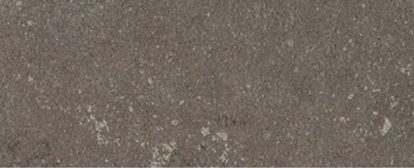 Buxy Cendre 50x100