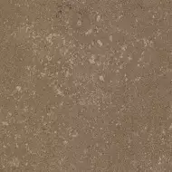 Buxy Noisette 100x100