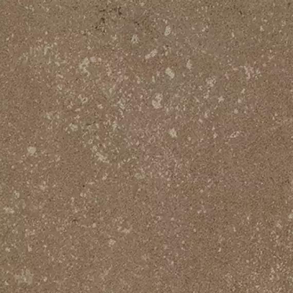 Buxy Noisette 100x100