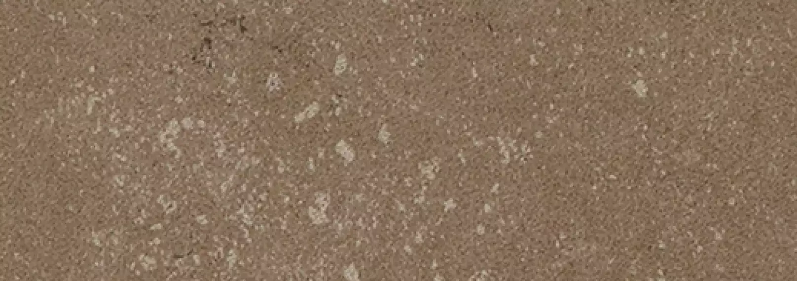 Buxy Noisette 300x100