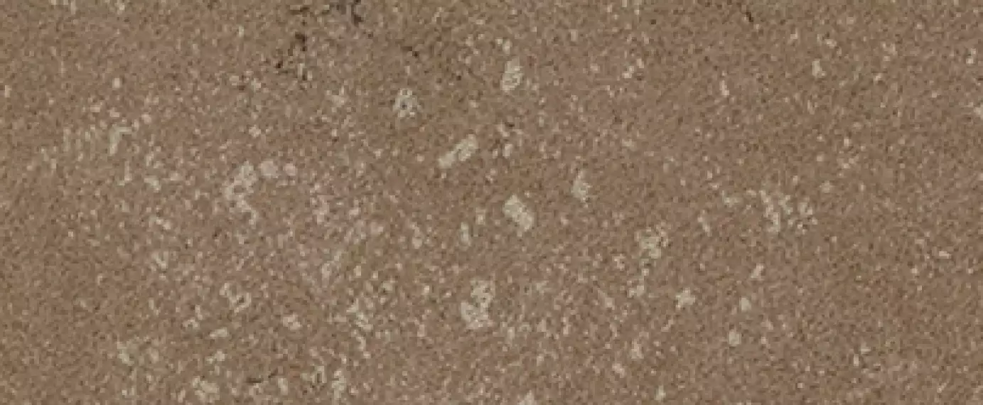 Buxy Noisette 50x100
